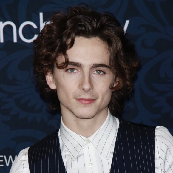 Timothée Chalamet - Les célébrités lors de l'avant-première du film 'Les Filles du docteur March' au MoMa à New York, le 7 décembre 2019.