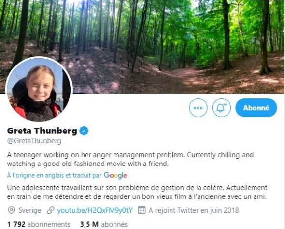Capture d'écran de bio Twitter de Greta Thunberg.