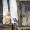 Une partie des animaux des films Harry Potter.