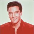  Archive du chanteur Elvis Presley. 
  
  