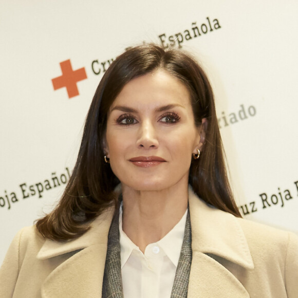 La reine Letizia d'Espagne lors d'une réunion de travail avec des membres de la Croix Rouge dans le cadre du sommet sur les crimes conjugaux, au siège de la Croix-Rouge à Madrid,, le 16 janvier 2020.