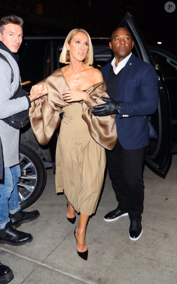 Celine Dion semble cacher une tâche sur sa robe sur le plateau de l'émission The Tonight Show avec Jimmy Fallon à New York, le 14 novembre 2019