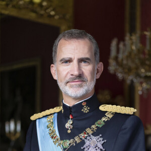 Le roi Felipe VI d'Espagne - Photos officielles des membres de la famille royale d'Espagne à Madrid le 11 février 2020.