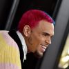 Chris Brown - 62ème soirée annuelle des Grammy Awards à Los Angeles, le 26 janvier 2020.