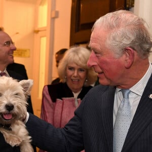 Le prince Charles avec Monty, le chien du Bureau du Cabinet à Londres, le 13 février 2020.