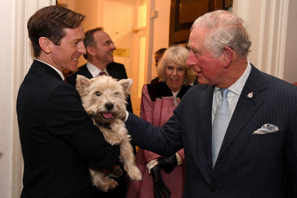 Le prince Charles avec Monty, le chien du Bureau du Cabinet à Londres, le 13 février 2020.