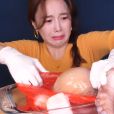 Ssoyoung : Bad buzz de la youtubeuse qui torture des animaux 