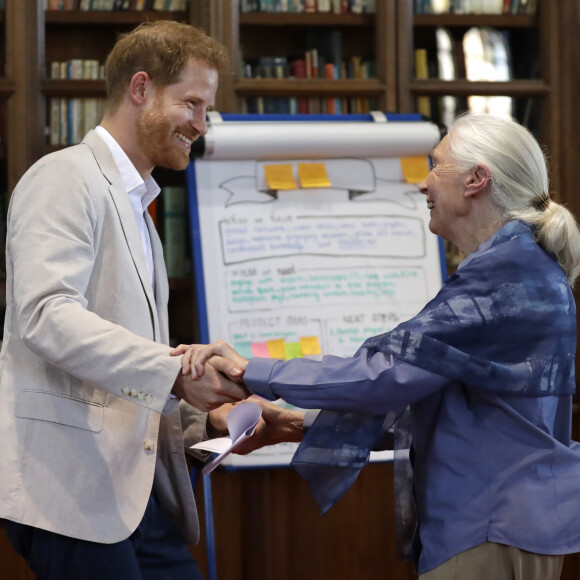 Le prince Harry, duc de Sussex, s'entretient avec le Dr Jane Goodal dans le cadre se son programme Roots & Shoots Global Leadership au chateau de Windsor dans le Berkshire, le 23 juillet 2019.
