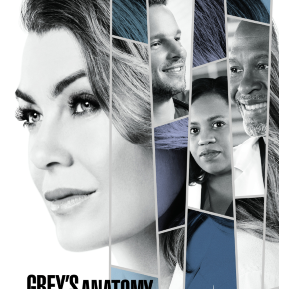 Affiche officielle de la saison 14 de "Grey's Anatomy".