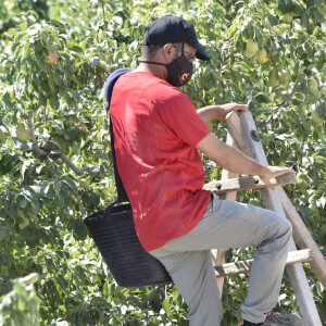 Le roi Felipe VI d'Espagne et la reine Letizia visitent une coopérative de fruits à Cieza le 7 juillet 2020.