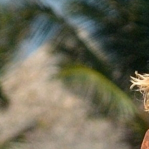 Exclusif - Jayde Nicole (ex de B. Jenner) en vacances avec Tina Louise sous le soleil de Tulum au Mexique, le 19 août 2019  For germany call for price Exclusive - B. Jenner's ex, Jayde Nicole and friend Tina Louise relax with friends and family before taking a cruise on their rental bikes during a vacation in Tulum, Mexico. 19th august 201919/08/2019 - Tulum