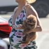 Exclusif - Katy Perry, très enceinte et son petit chien Nugget dans les bras , se rend à la plage avec son compagnon Orlando Bloom torse nu lors du week-end de Memorial Day le 24 mai à Santa Barbara.