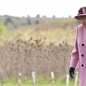 La reine Elizabeth II d'Angleterre et le prince William, duc de Cambridge, visitent le laboratoire des sciences et de la technologie de la défense (DSTL) à Porton Down, le 15 octobre 2020. Cette visite a pour but de voir l'enceinte énergétique, l'affichage des armes, les tactiques utilisées dans le contre-espionnage, ainsi que de rencontrer le personnel impliqué dans l'incident de Salisbury Novichok. La reine Elizabeth II d'Angleterre, arrivée séparément de son petit-fils, mène ici son premier engagement public à l'extérieur d'une résidence royale en sept mois, avant que la pandémie de coronavirus (Covid-19) ne frappe le pays. À cette occasion, aucun des deux ne portait de masque de protection contre le virus.