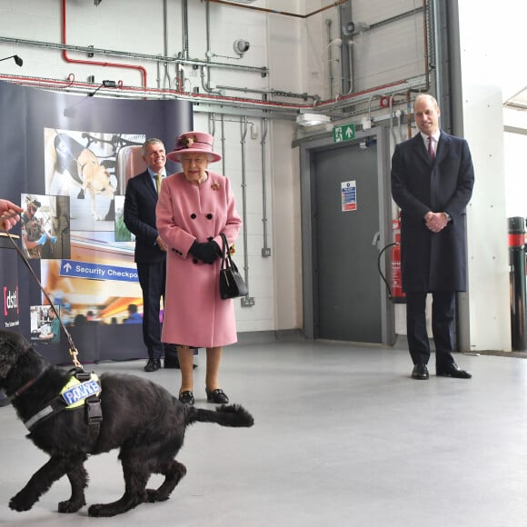 La reine Elizabeth II d'Angleterre et le prince William, duc de Cambridge, visitent le laboratoire des sciences et de la technologie de la défense (DSTL) à Porton Down, le 15 octobre 2020. Cette visite a pour but de voir l'enceinte énergétique, l'affichage des armes, les tactiques utilisées dans le contre-espionnage, ainsi que de rencontrer le personnel impliqué dans l'incident de Salisbury Novichok. La reine Elizabeth II d'Angleterre, arrivée séparément de son petit-fils, mène ici son premier engagement public à l'extérieur d'une résidence royale en sept mois, avant que la pandémie de coronavirus (Covid-19) ne frappe le pays. À cette occasion, aucun des deux ne portait de masque de protection contre le virus.