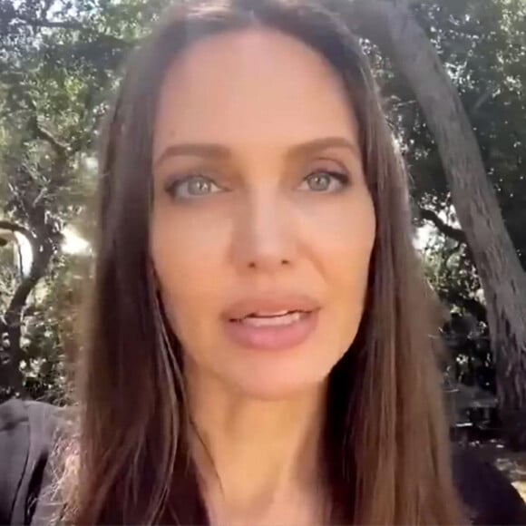 Angelina Jolie - Les célébrités rendent hommage à Chadwick Boseman dans l'émission de la ABC "Tribute To A King" à Los Angeles, le 30 août 2020.
