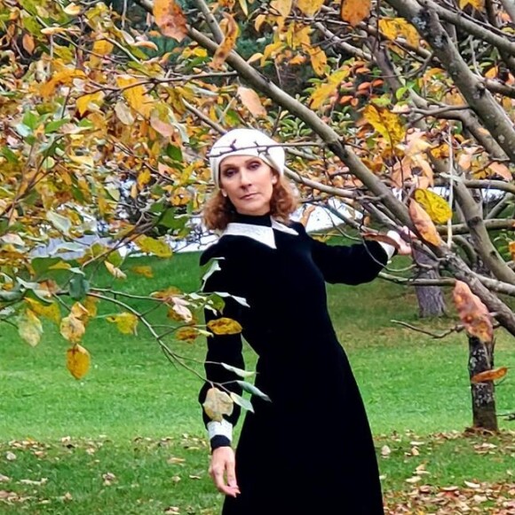 Céline Dion prend la pose sur Instagram pour fêter le Thanksgiving américain.
