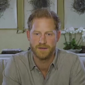 Le prince Harry s'engage au côté de WWF et Greenpeace pour créer un service de streaming respectueux de l'environnement appelé Waterbear le 1er décembre 2020.