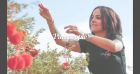 Alizée : Combien de tatouages a la chanteuse ?