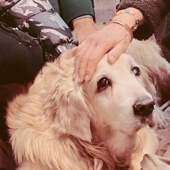 Alice Taglioni annonce la mort de son chien Motus