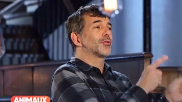Stéphane Plaza dans "Animaux Stars", sur Animaux TV