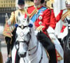 Le prince William, duc de Cambridge - La parade Trooping the Colour 2019, célébrant le 93ème anniversaire de la reine Elisabeth II, au palais de Buckingham, Londres, le 8 juin 2019. 