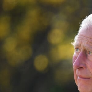 Le prince Charles, prince de Galles passe en revue les hommages au prince Philip dans les jardins de Marlborough House à Londres le 15 avril 2021.