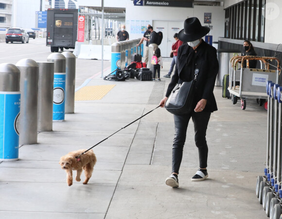Exclusif - Catherine Zeta-Jones arrive à l'aéroport de Los Angeles (LAX) avec son chien, le 20 novembre 2020.