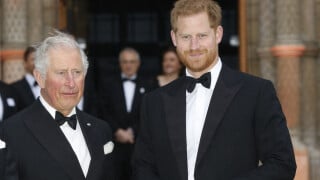 Le prince Harry charge encore son père Charles : "Je vais faire en sorte de rompre le cycle"