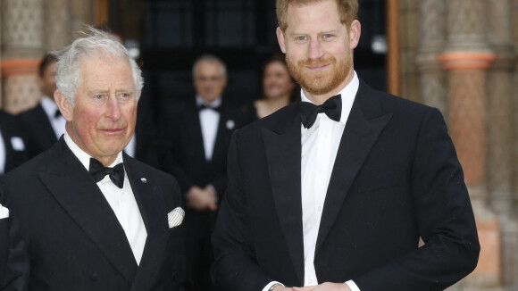 Le prince Harry charge encore son père Charles : "Je vais faire en sorte de rompre le cycle"