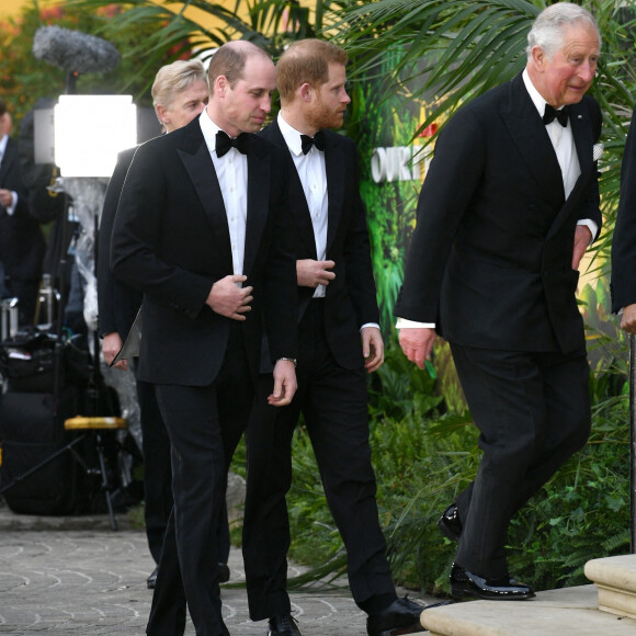 Le prince William, duc de Cambridge, le prince Harry, duc de Sussex, le prince Charles, prince de Galles lors de la première mondiale de la série Netflix "Our Planet" au Musée d'histoire naturelle de Londres le 4 avril 2019.