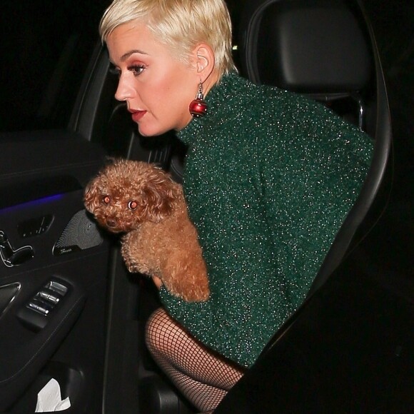 Exclusif - Katy Perry est allée diner en compagnie de son petit chien Nugget à Santa Monica, le 2 décembre 2018.