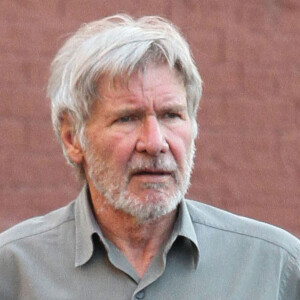 Harrison Ford est allé déjeuner avec sa fille Georgia à New York. L'état de santé de Georgia Ford donne beaucoup de soucis à son père, elle souffre d'épilepsie. Le 9 mars 2016