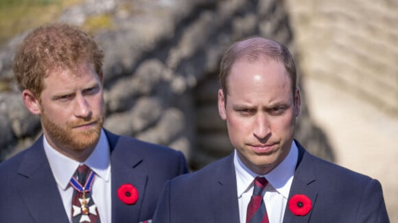 Harry et William bientôt réconciliés : une "discussion privée" après l'hommage à Diana