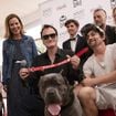 Palm Dog Wamiz 2021 : Qui succèdera à Quentin Tarantino, cette année sur La Croisette ?