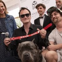Palm Dog Wamiz 2021 : Qui succèdera à Quentin Tarantino, cette année sur La Croisette ?
