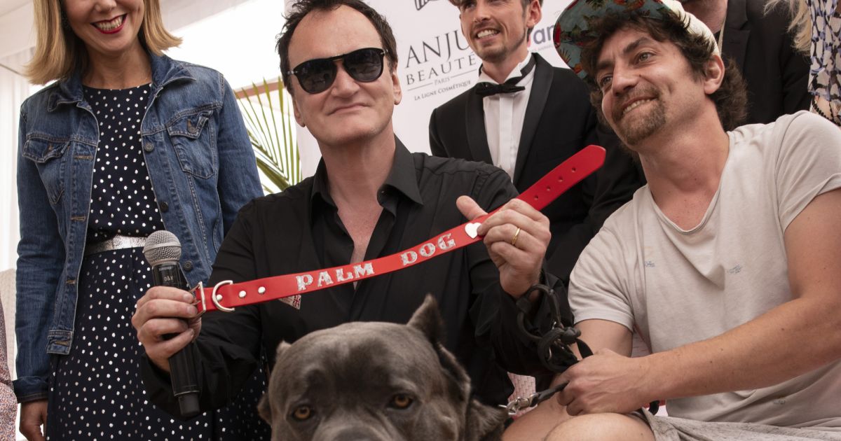 Quentin Tarantino reçoit la Palme Dog pour Brandy, le chien du film