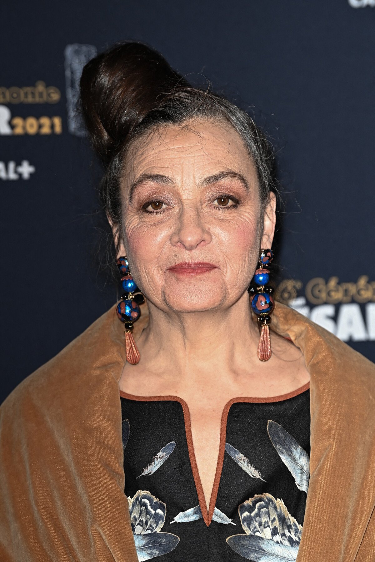 Photo Catherine Ringer lors de la 46ème cérémonie des César à l