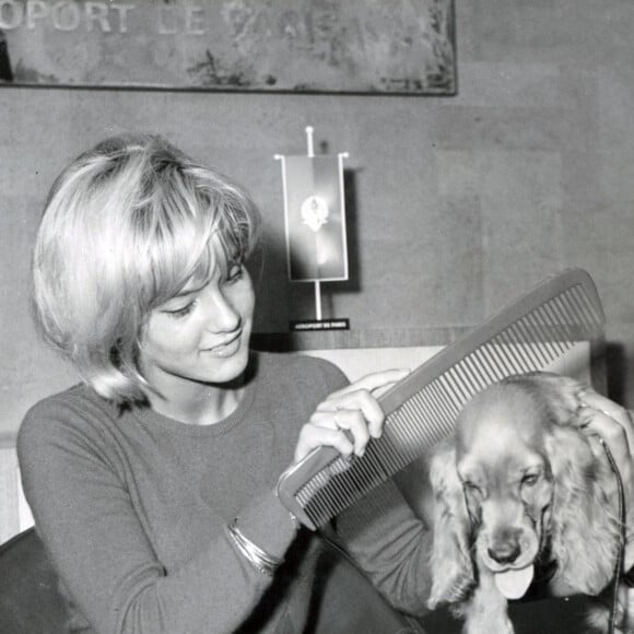 Sylvie Vartan et Johnny Hallyday à leur arrivée à l'aéroport d'Orly. Le 16 octobre 1965 © Keystone Press Agency / Zuma Press / Bestimage