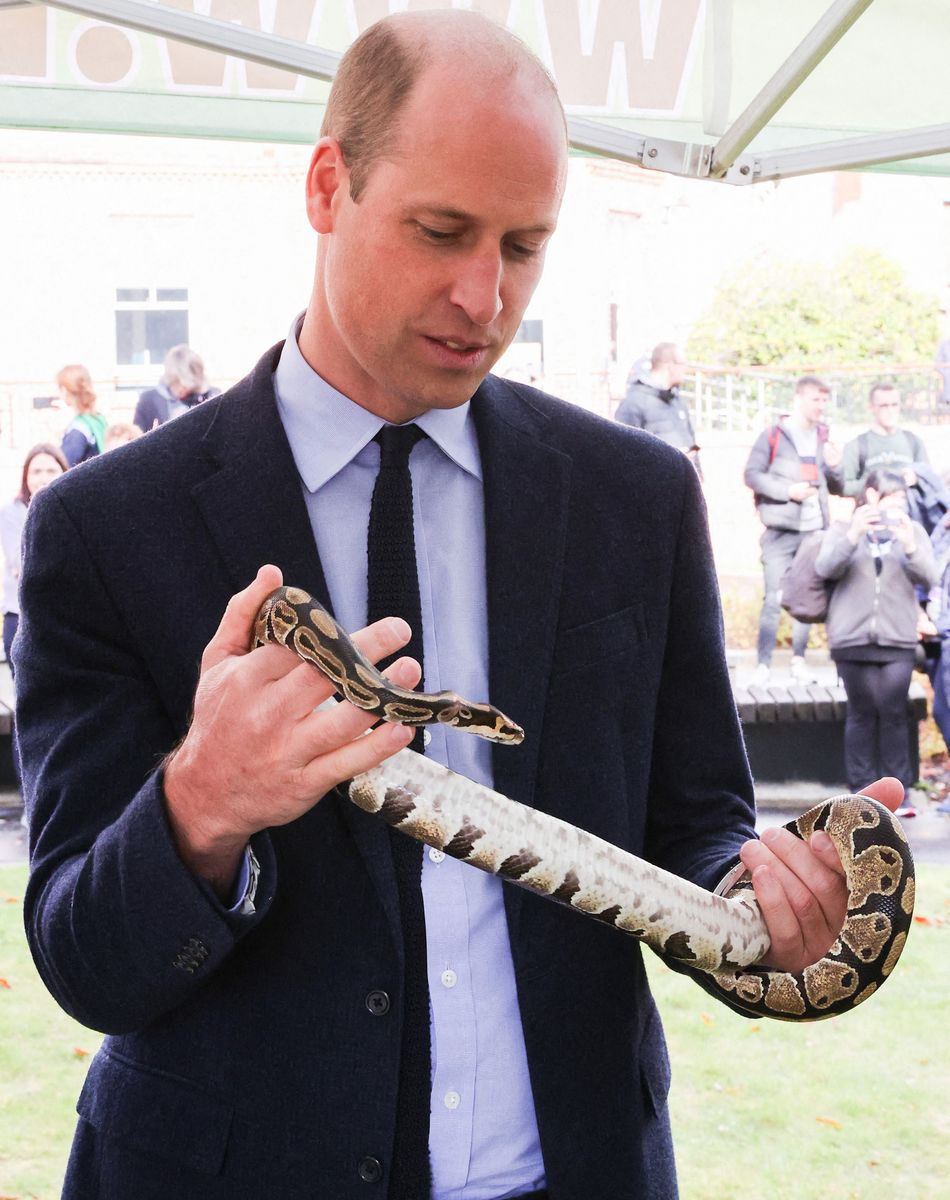 Le prince William, duc de Cambridge, visite l'Université Magee de Londonderry, Irlande du Nord, Royaume Uni, où il rencontre des étudiants en soins infirmiers.