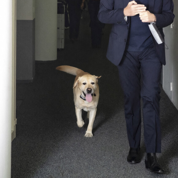 Exclusif - Laurent Ruquier et son chien - Backstage de l'émission On Est En Direct (OEED) du samedi 09/10/2021 ©Jack Tribeca/Bestimage