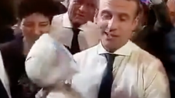 Emmanuel Macron et Buddy en 2017.