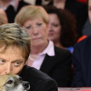 Dave et son compagnon Patrick Loiseau avec leur chien - Enregistrement de l'émission "Vivement Dimanche" à Paris. © Coadic Guirec/Bestimage