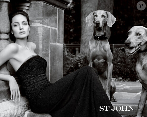 Angelina Jolie pour St John