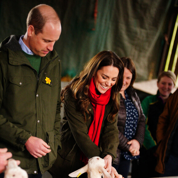 Le prince William, duc de Cambridge, et Catherine (Kate) Middleton, duchesse de Cambridge, lors d'une visite d'une ferme caprine à Pant Farm au Pays de Galles, Royaume Uni, le 1 mars 2022.