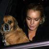 Lindsay Lohan sort de la boutique Alice et Olivia après une séance shopping avec une amie à Los Angeles le 18 janvier 2010