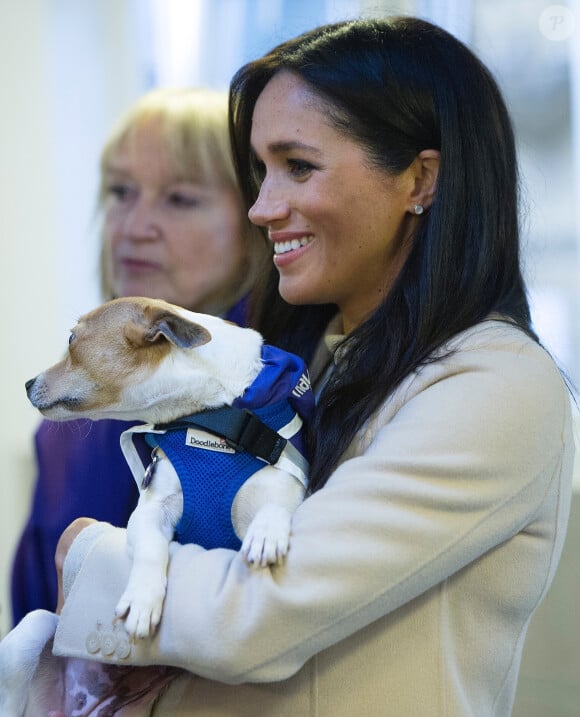 Meghan Markle, duchesse de Sussex, enceinte, visite le refuge pour animaux "The Mayhew Animal Home" dont elle est la marraine. Londres, le 16 janvier 2019.