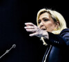 Meeting de Marine Le Pen, candidate RN à l'élection présidentielle, avant le premier tour à Perpignan le 7 avril 2022