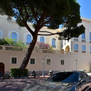 Illustration durant le dévoilement d'une Porsche Taycan électrique sur la place du Palais de Monaco, le 25 avril 2022, peinte par l'artiste Bernard Bezzina. Une fois dévoilée, la Porsche électrique ira rejoindre la Collection de Voitures du Souverain Albert II de Monaco à Fontvieille. © Bruno Bebert / Bestimage 