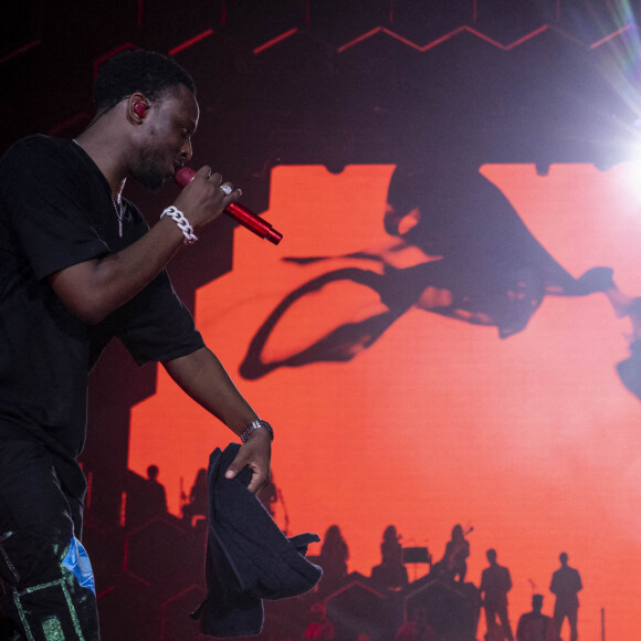 Exclusif - Dadju et Gims qui est apparu déguisé en rasta alors qu'il avait été annoncé absent pour le plus grand plaisir des spectateurs du Parc des Princes - En à peine 5ans, plus de 1,5 millions d'albums vendus : 2 Disques de Diamant, 66 disques certifiés : le Prince DADJU a triomphé hier soir au Parc des Princes ! DADJU a enchaîné ses nombreux tubes devant près de 50 000 personnes avec une pléiade incroyable de guests venus pour ce concert événement : Pour info voir vendeurs. Une performance unique de plus de 2h retransmis en direct sur C8 et sur toutes les chaînes Canal+ International !. © Cyil Moreau / Veeren / Bestimage