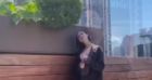 Alice Attal : la fille de Charlotte Gainsbourg, de retour à New York, s'éclate